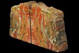 Tall, Arizona Petrified Wood Bookends - Arizona #180245-1